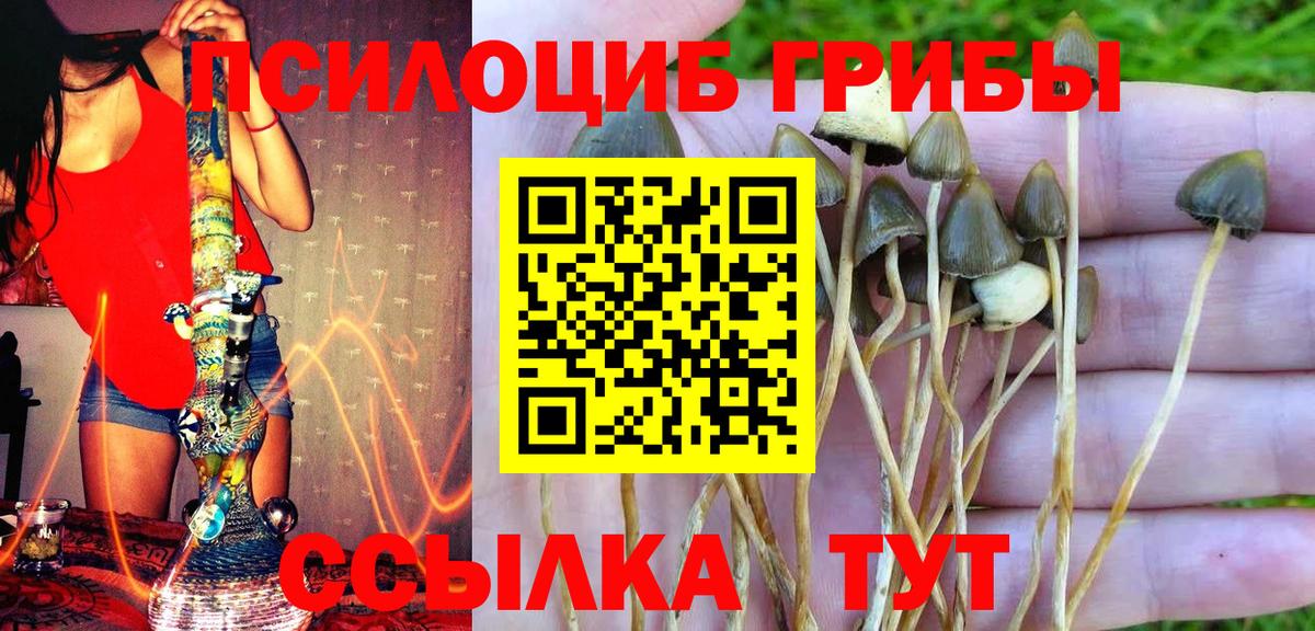 Ленинск-Кузнецкий  Псилоцибиновые грибы мухоморы  Галлюциногенные грибы MAGIC MUSHROOMS  Вход с VPN 