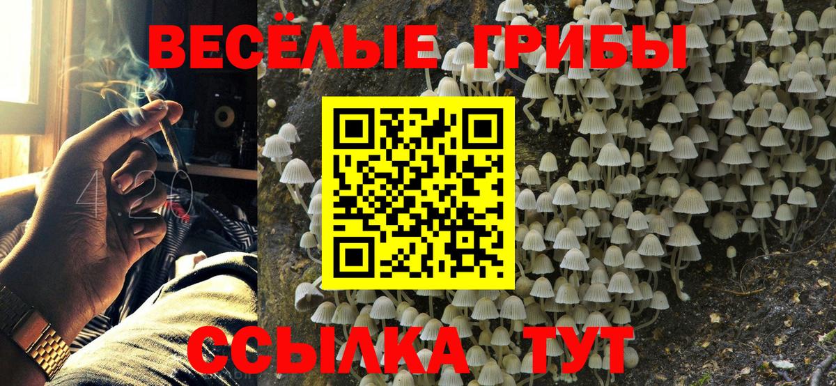 Псилоцибиновые грибы прущие грибы Ленинск-Кузнецкий